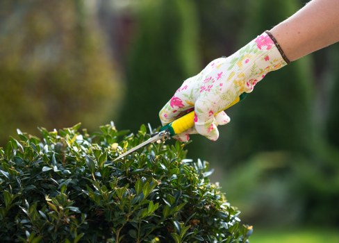 Secure payment illustration for Landscaping Twickenham services