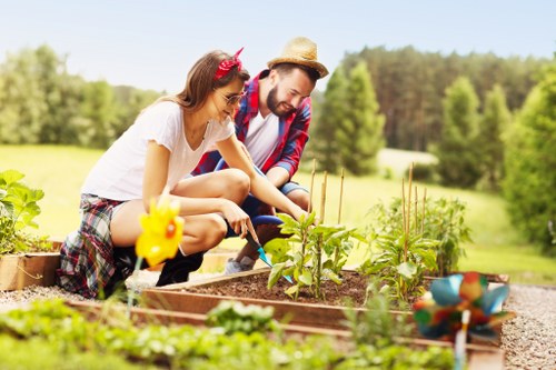 Garden design and build project planning in a Twickenham residential garden