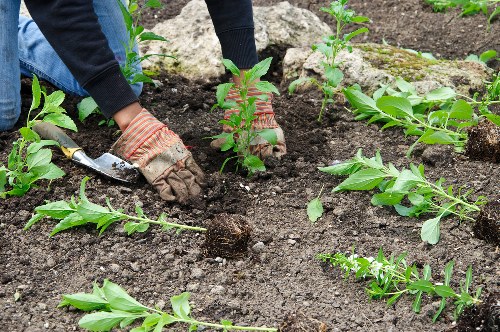 Accessibility improvement review for Twickenham landscaping content