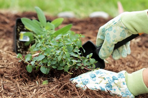 Emergency readiness during a landscaping project