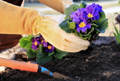 Preparation of soil and planting beds for soft landscaping in Twickenham