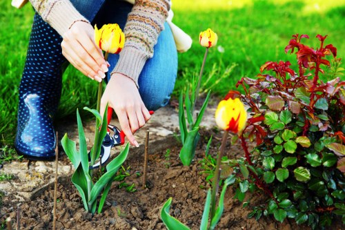 Accepted payment methods for Landscaping Twickenham landscaping projects