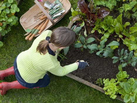 About Us Landscaping Twickenham article featuring local garden design, materials, and planting