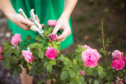 Image symbolizing complaint resolution in landscaping
