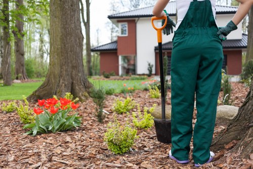 Garden landscaping quotation and site assessment in progress